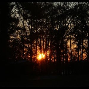 Meet your Posher, Kacey